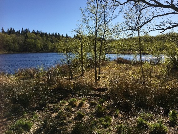 Gatur_230726.jpg
